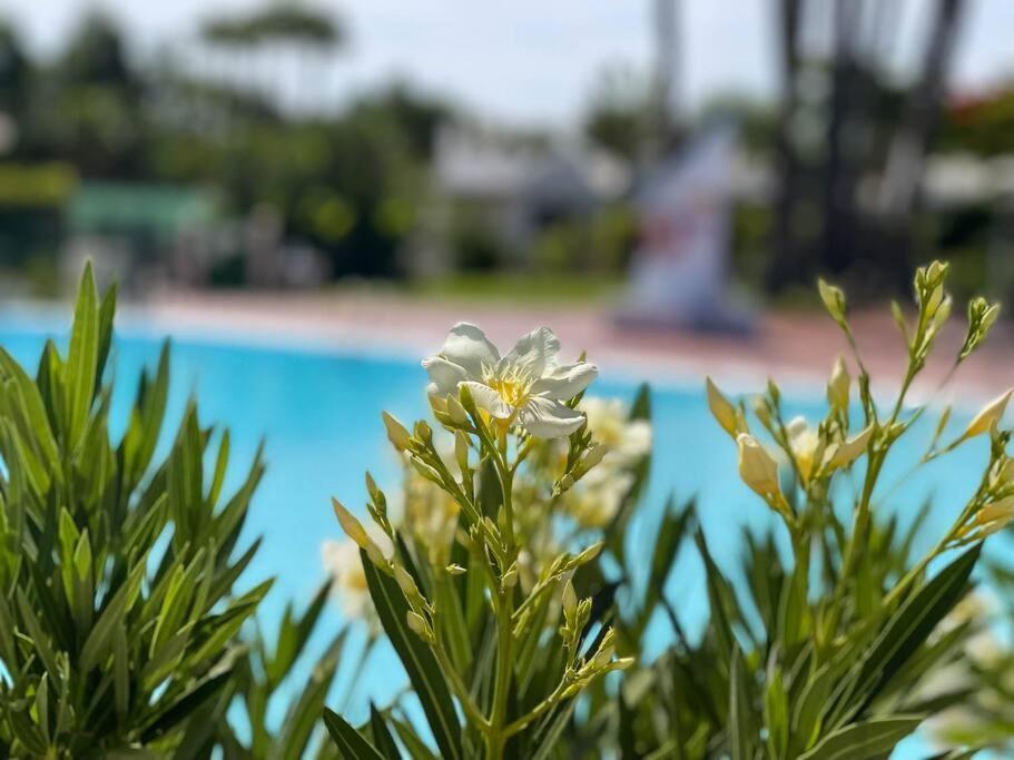 Cozy & Modern Bungalow W/Private Garden Bbq+Wifi Maspalomas  Exterior foto